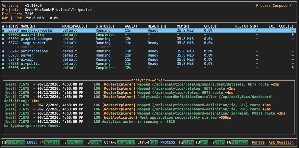 Process Compose TUI showing the local dev stack with service status, health, and logs